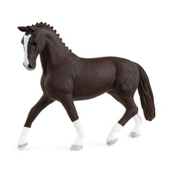 Cheval, Poulain Hanovre...