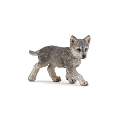 jeune loup gris