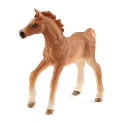 Poulain Pur Sang anglais figurine Schleich