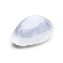 Coquillage Monetaria Annulus violet / Cauri 2