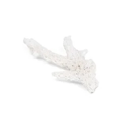 Branche de corail blanc