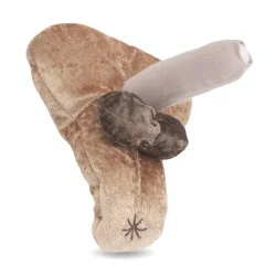 Modèle anatomique intersexué de pénis avec Hypospadias en peluche
