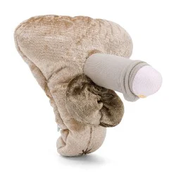 Modèle anatomique intersexué de pénis avec Hypospadias en peluche