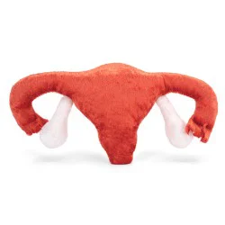 Modèle anatomique utérus en peluche taille réelle