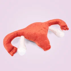 Modèle anatomique utérus en peluche taille réelle