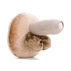 Modèle anatomique de pénis petit en peluche