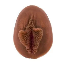 Vulve en silicone à louer