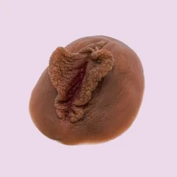 Vulve en silicone à louer à plat