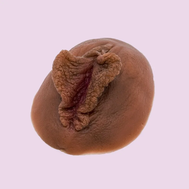 Vulve en silicone à louer à plat Vulve en silicone à louer à plat