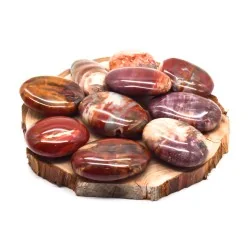 Galet Bois fossile qualité Extra 1