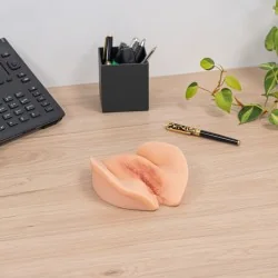 vulve mutilée sen silicone pour l'éducation sur bureau