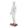 Modèle d'acupuncture chinoise, féminin, 48 cm