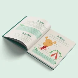 livre éducation vie affective : Le petit illustré de l'intimité tome 1 page schéma clitoris
