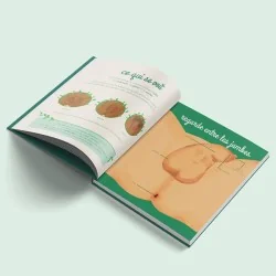 Livre Le petit illustré de l'intimité tome 2 page schéma pénis