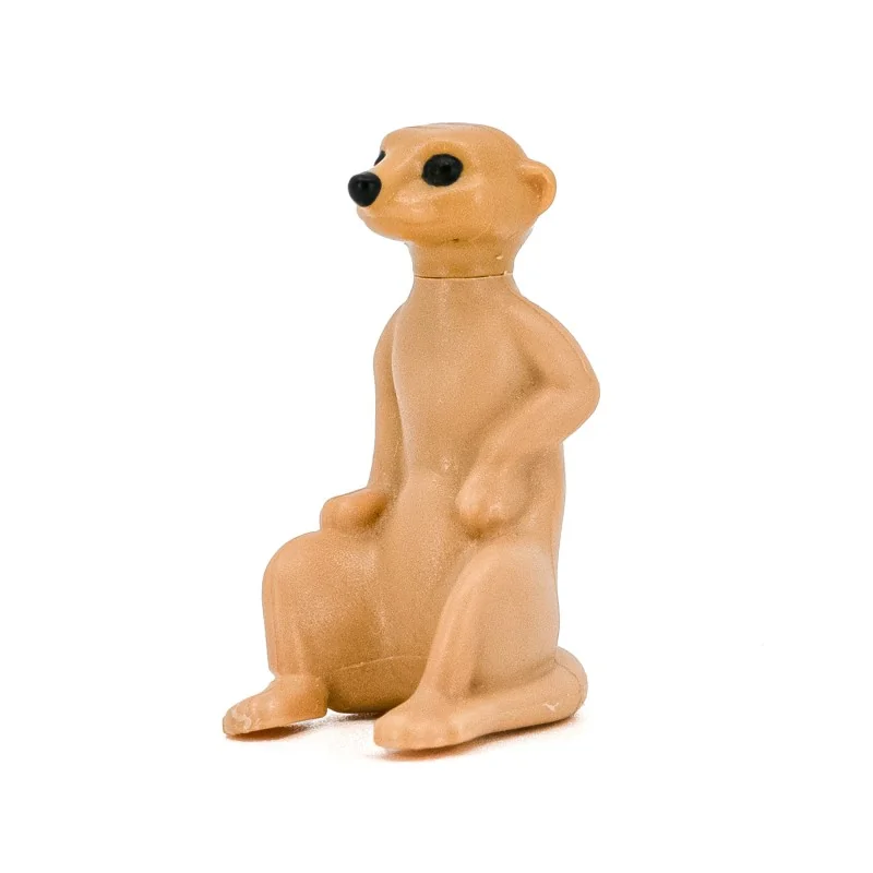 Suricate Suricate