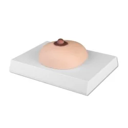 Modèle de palpation du cancer du sein