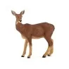 Biche