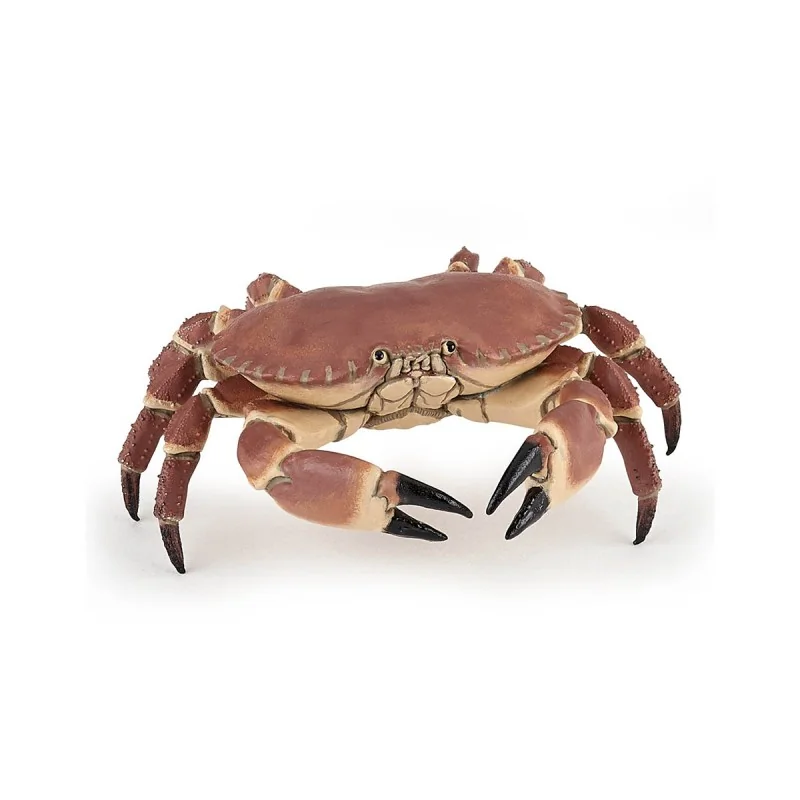 Crabe