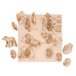Puzzle éducatif en bois -...
