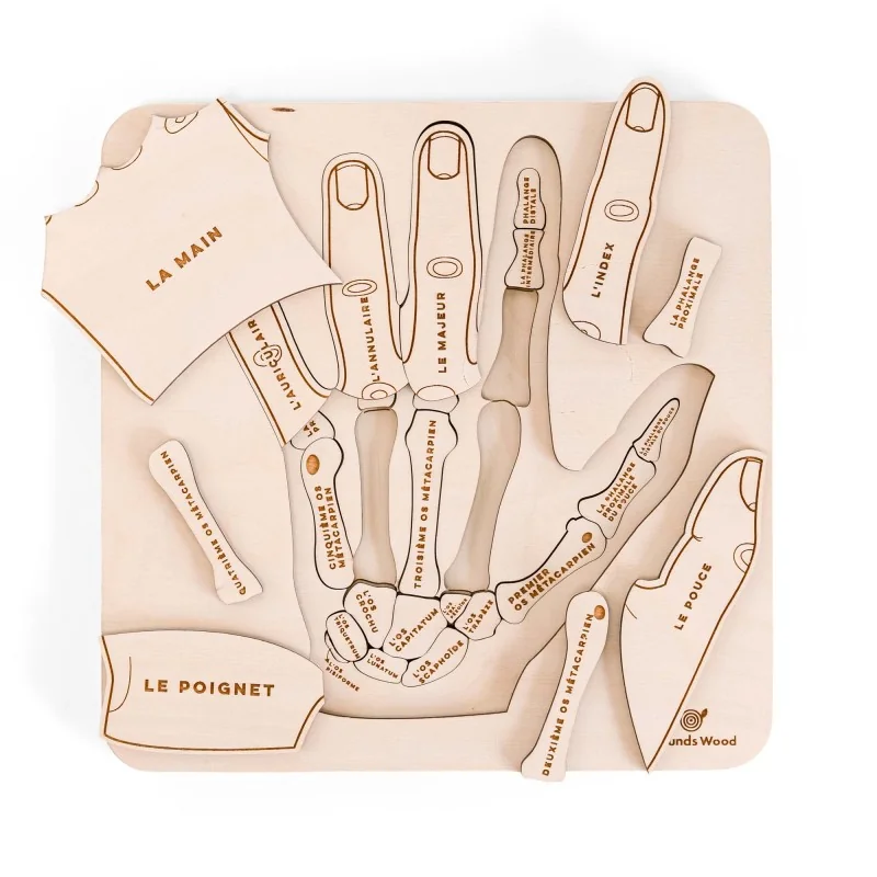 Puzzle éducatif en bois - L'anatomie de la main