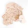 Puzzle éducatif en bois - L'anatomie de la tête
