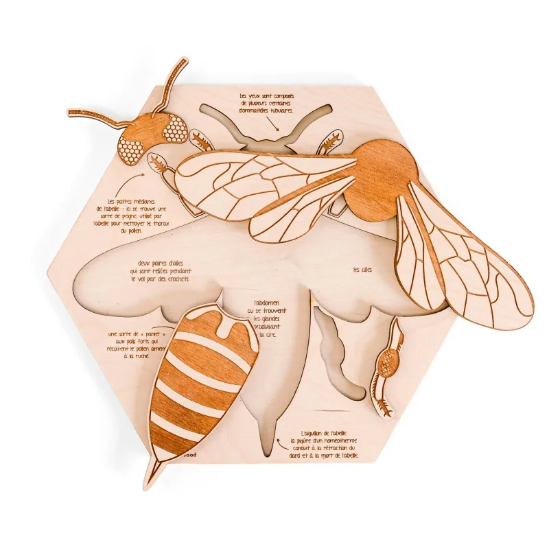 Puzzle éducatif en bois - L'anatomie de l'abeille