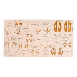 Puzzle éducatif en bois -...