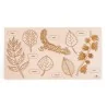 Puzzle éducatif en bois - Les feuilles et fruits des arbres modèle 2