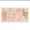 Puzzle éducatif en bois - Les feuilles et fruits des arbres modèle 3