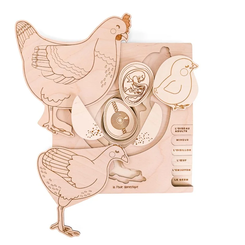 Puzzle éducatif en bois - Les stades de développement de la poule