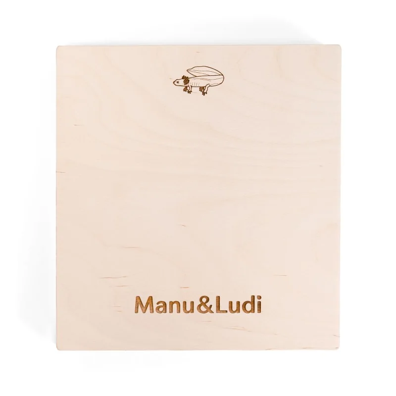 Puzzle éducatif en bois - Les stades de développement des amphibiens