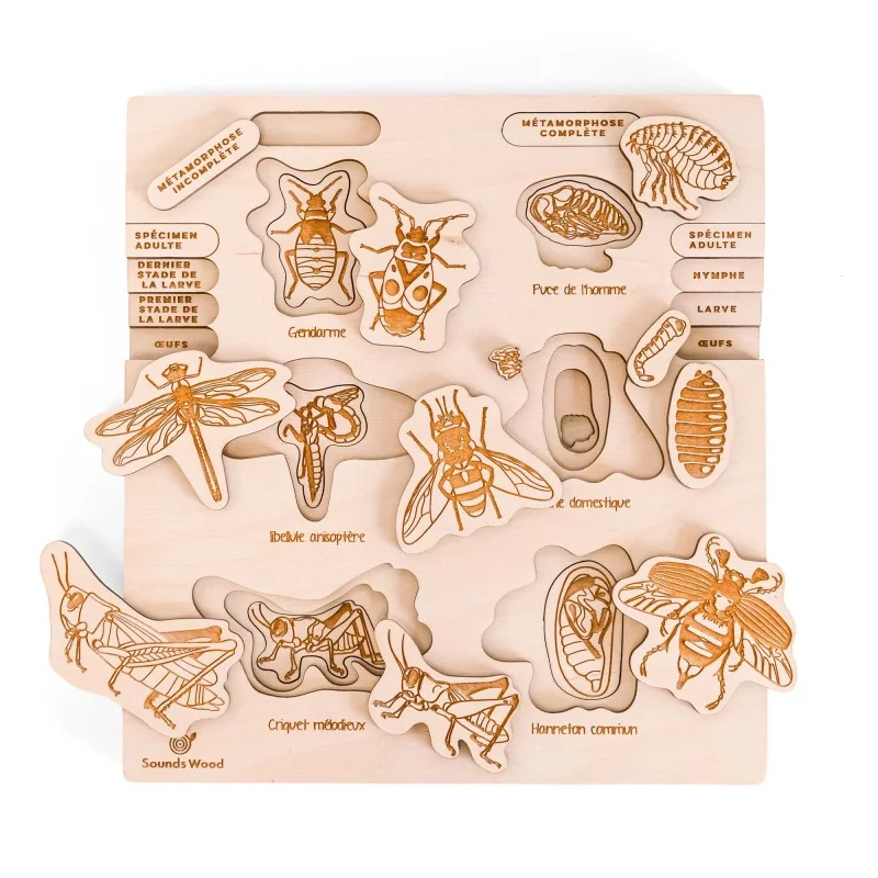 Puzzle éducatif en bois - Les stades de développement des insectes modèle 2