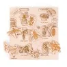 Puzzle éducatif en bois - Les stades de développement des insectes modèle 2