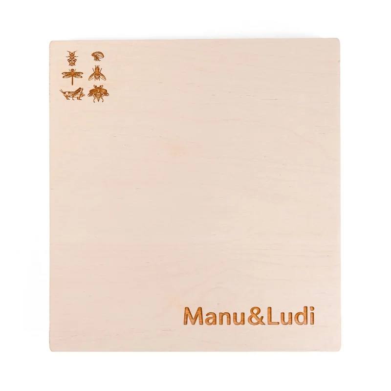 Puzzle éducatif en bois - Les stades de développement des insectes modèle 2