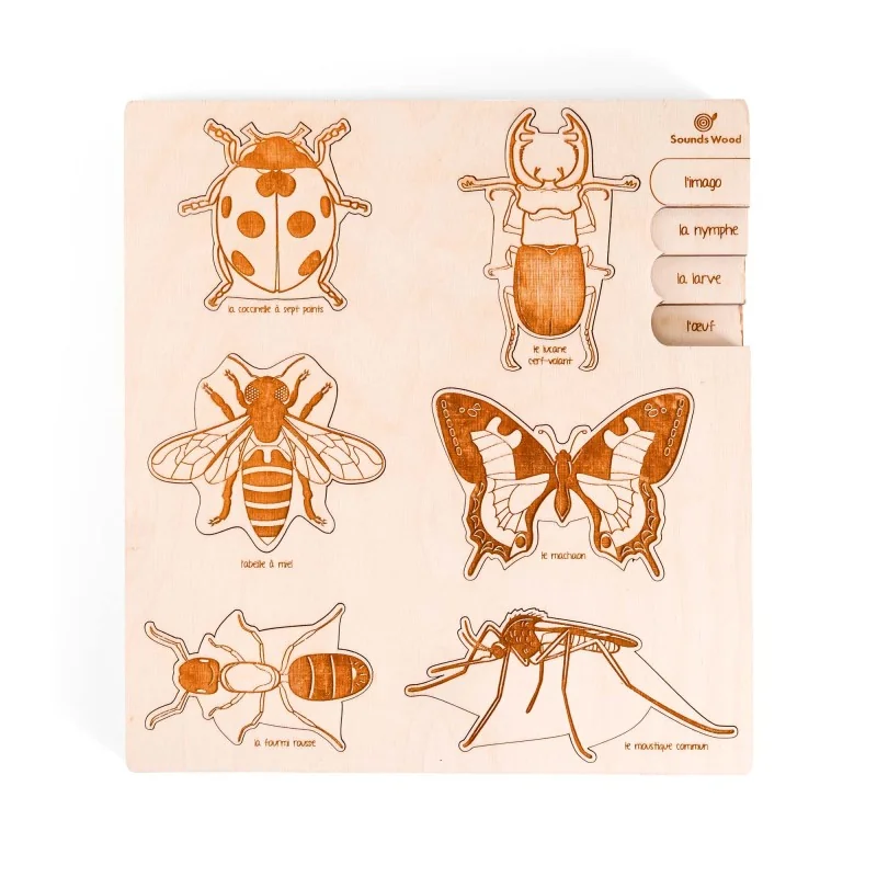 Puzzle éducatif En Bois – L’anatomie De L’abeille – 9 Pièces, Dès 3 Ans – Fabriqué En Pologne