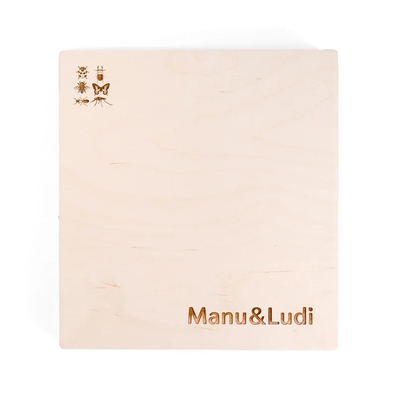 Puzzle éducatif en bois - Les stades de développement des insectes