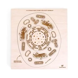 Puzzle éducatif en bois -...