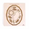 Puzzle éducatif en bois - La structure de la cellule végétale