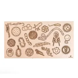 Puzzle éducatif en bois -...