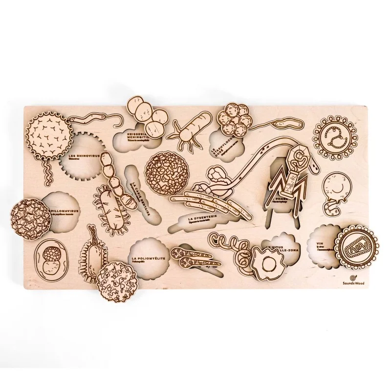 Puzzle éducatif en bois - Les microbes responsables des maladies