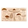 Puzzle éducatif en bois - Les champignons en phase de croissance et adultes