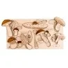 Puzzle éducatif en bois - Les champignons en phase de croissance et adultes