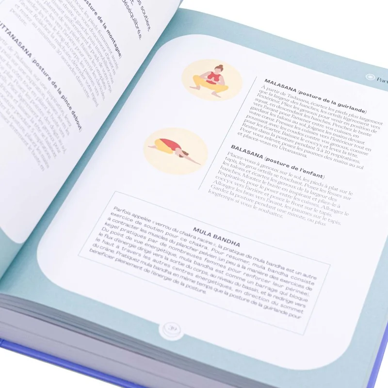 Le grand livre de l'équilibre énergétique