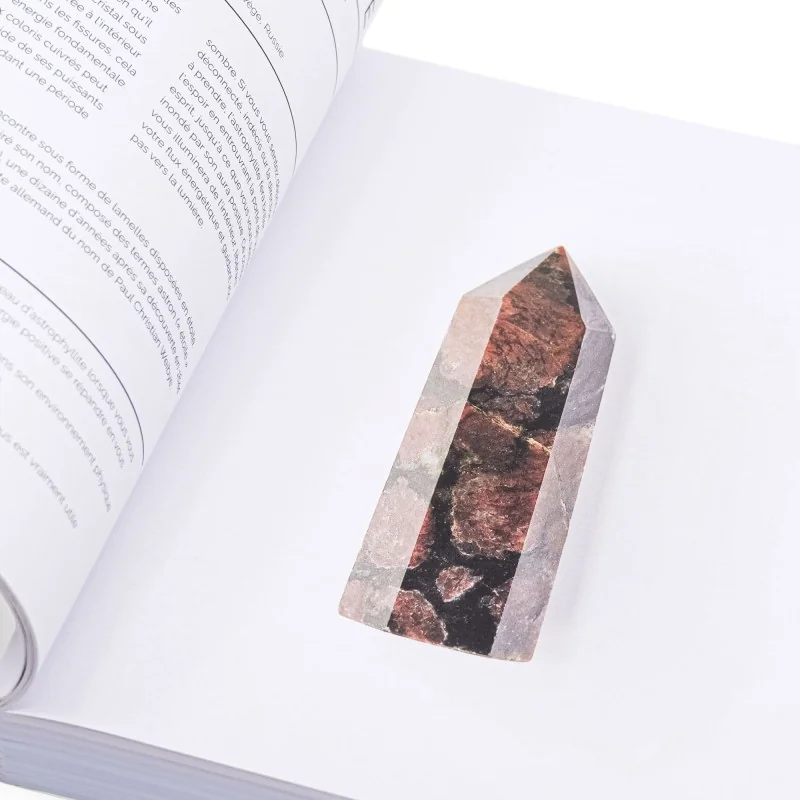 La bible des cristaux pour les débutants