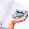 La bible des cristaux pour les débutants