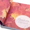 Le guide des chakras