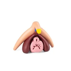 modèle anatomique de clitoris 3d en silicone