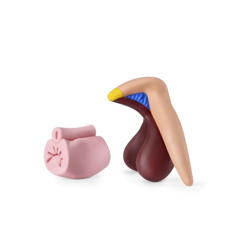modèle anatomique de clitoris 3d en silicone vu de profil modèle anatomique de clitoris 3d en silicone vu de profil