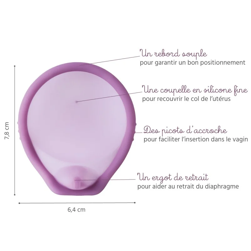 diaphragme Caya pour montrer avec légendes diaphragme Caya pour montrer avec légendes