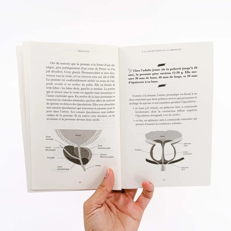 livre sur la prostate avec schémas